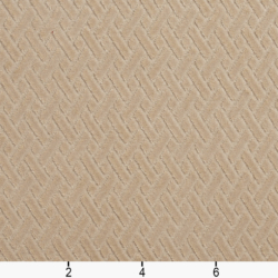Image of 10420-08 showing scale of fabric