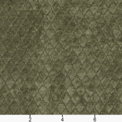 Image of 1921 Sage showing scale of fabric
