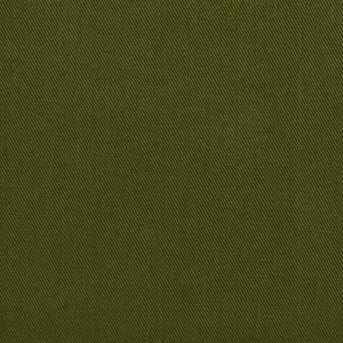 2255 Fern upholstery and drapery fabric by the yard full size image
