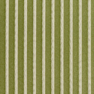 2613 Fern/Stripe upholstery fabric by the yard full size image