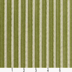 Image of 2613 Fern/Stripe showing scale of fabric