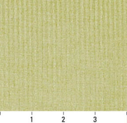 Image of 4207 Spring Stripe showing scale of fabric