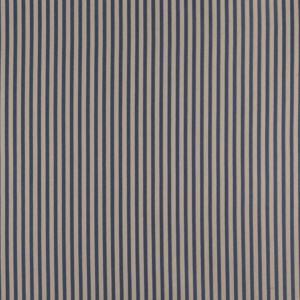 4365 Wedgewood Stripe