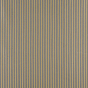 4369 Chambray Stripe