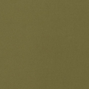 5006 Basil