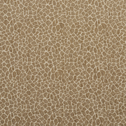 5192 Giraffe/Natural