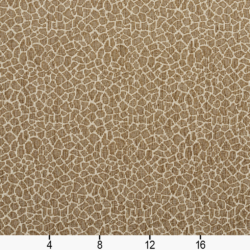 5192 Giraffe/Natural