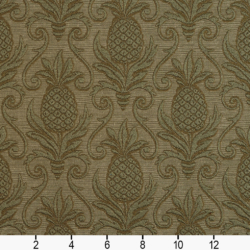 Image of 5525 Sage/Pineapple showing scale of fabric