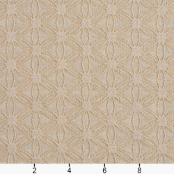 Image of 5529 Ivory/Charm showing scale of fabric