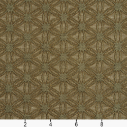 Image of 5534 Sage/Charm showing scale of fabric