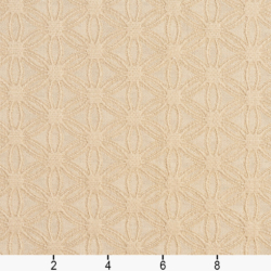 Image of 5535 Natural/Charm showing scale of fabric