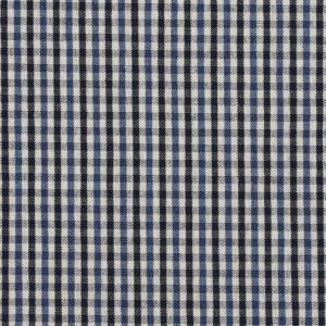 5819 Cobalt Check