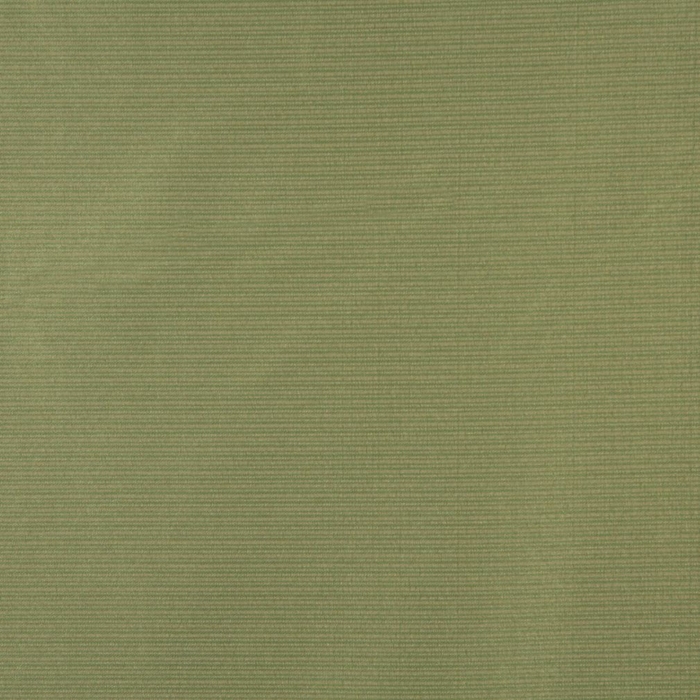 6618 Fern Outdoor upholstery fabric by the yard full size image