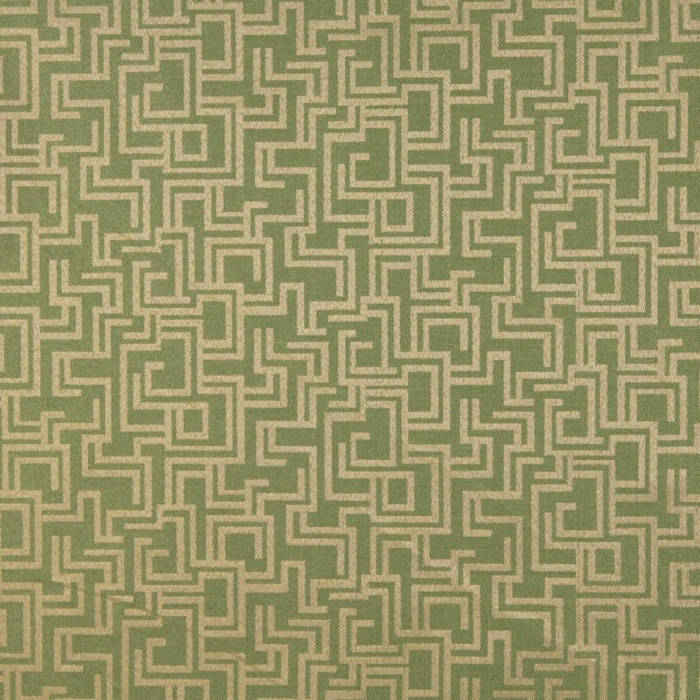 6634 Fern/Geometric Outdoor upholstery fabric by the yard full size image