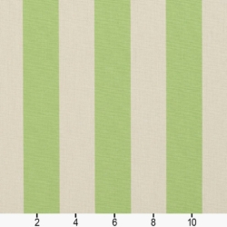 Image of 9542 Spring Stripe showing scale of fabric