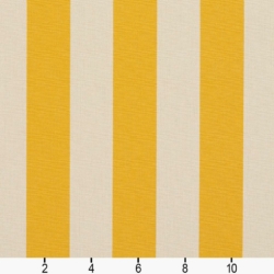 9544 Marigold Stripe