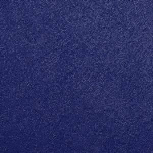 Allsport Blue