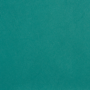 Allsport Green