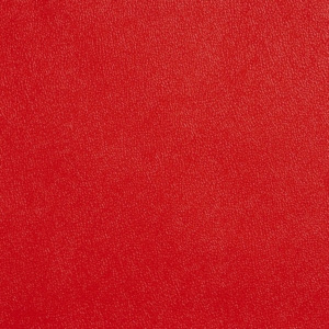 Allsport Red