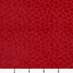 Image of CB700-228 showing scale of fabric