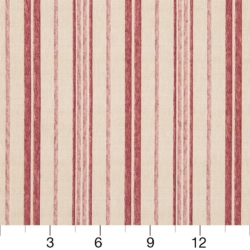 Image of CB700-284 showing scale of fabric