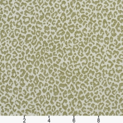 Image of CB700-306 showing scale of fabric
