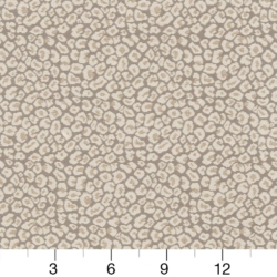 Image of CB800-220 showing scale of fabric