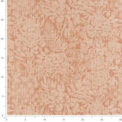 Image of CB900-68 showing scale of fabric