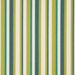 D1012 Meadow Stripe Outdoor upholstery and drapery fabric by the yard full size image