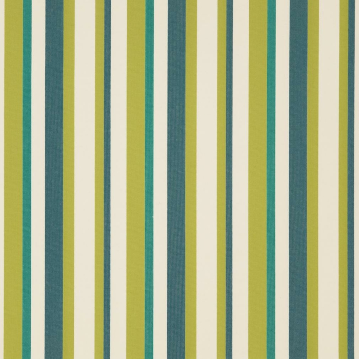 D1012 Meadow Stripe Outdoor upholstery and drapery fabric by the yard full size image