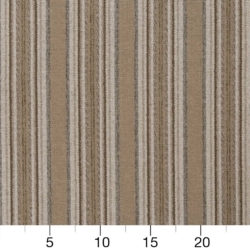 Image of D1970 Sandstone showing scale of fabric