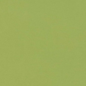 D2819 Lime Outdoor upholstery fabric by the yard full size image