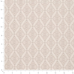 Image of D4062 Taupe Lily showing scale of fabric