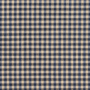M304 Indigo Gingham