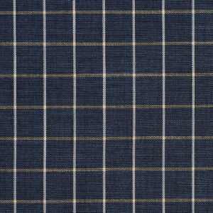 M311 Indigo Checkerboard
