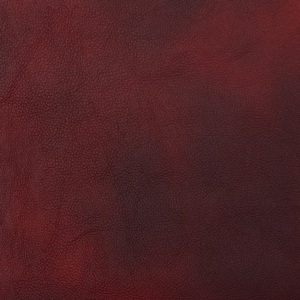 M339 Burgundy