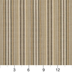 Image of R310 Coffee Stripe showing scale of fabric