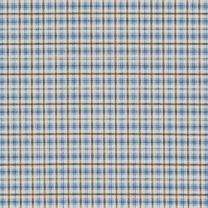 X808 Picnic upholstery and drapery fabric by the yard full size image