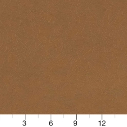 Image of Y145 Toast showing scale of fabric