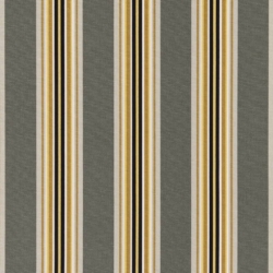 Y391 Graphite Stripe