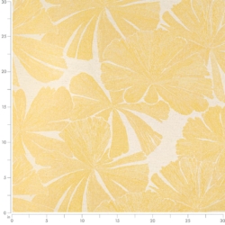 Image of Y803 Marigold showing scale of fabric