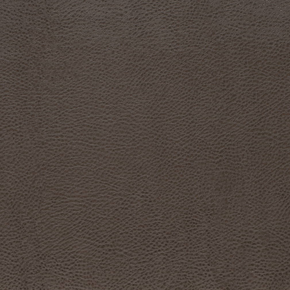 V876 Graphite - Charlotte Fabrics