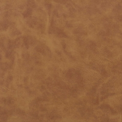 T1061 Buckskin