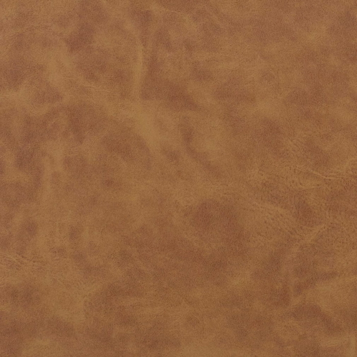 T1061 Buckskin
