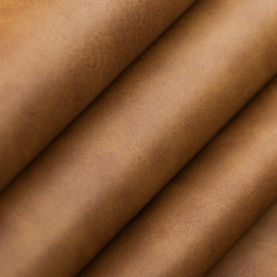 T1061 Buckskin