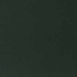 T1068 Spruce
