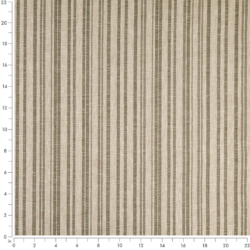 D4807 Hearth Fern