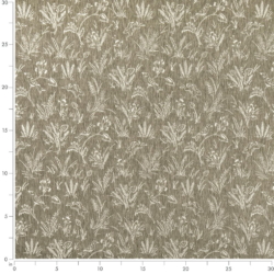 D4820 Briar Fern