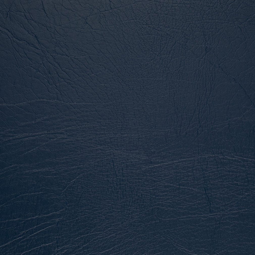 V1011 Indigo
