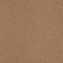 D4926 Camel